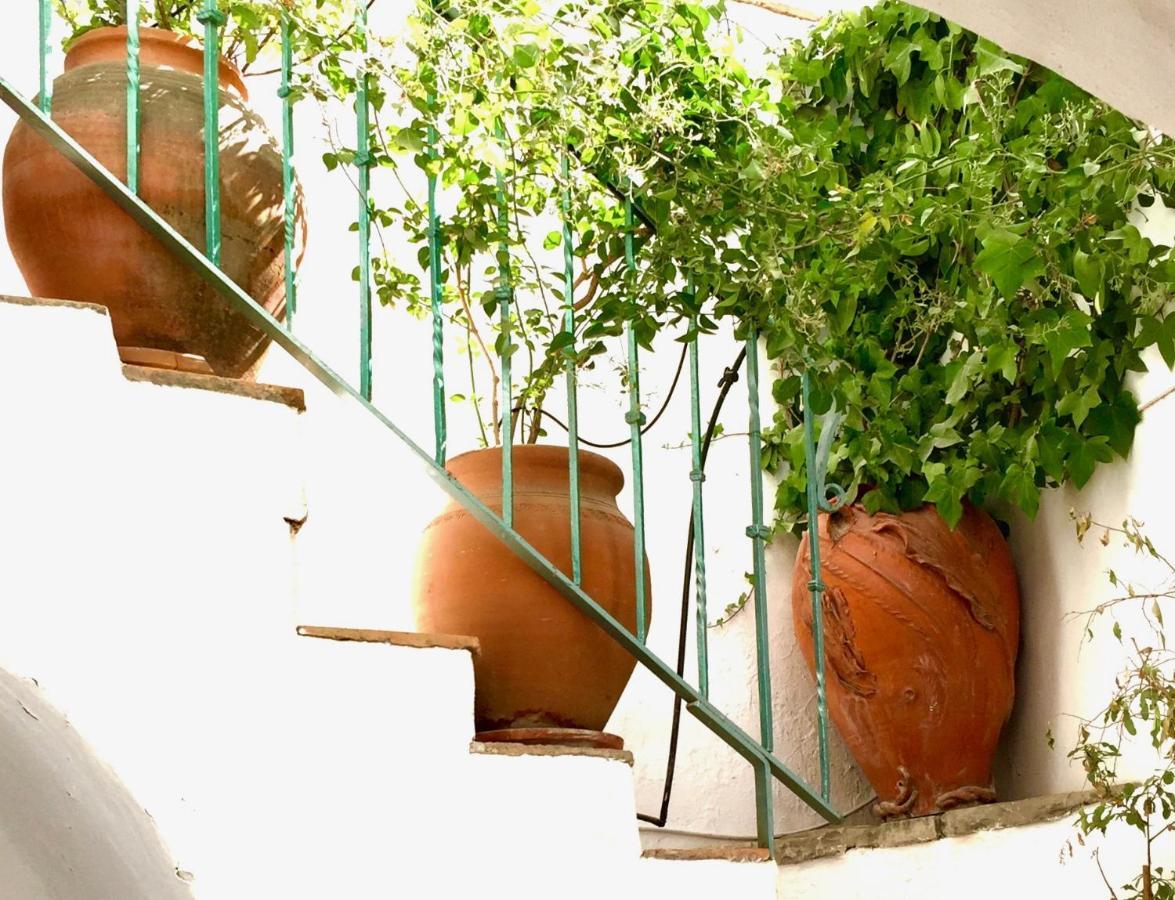 Вілла Casa Del Patio Arabe Casas Vejer Debra Вехер-де-ла-Фронтера Екстер'єр фото